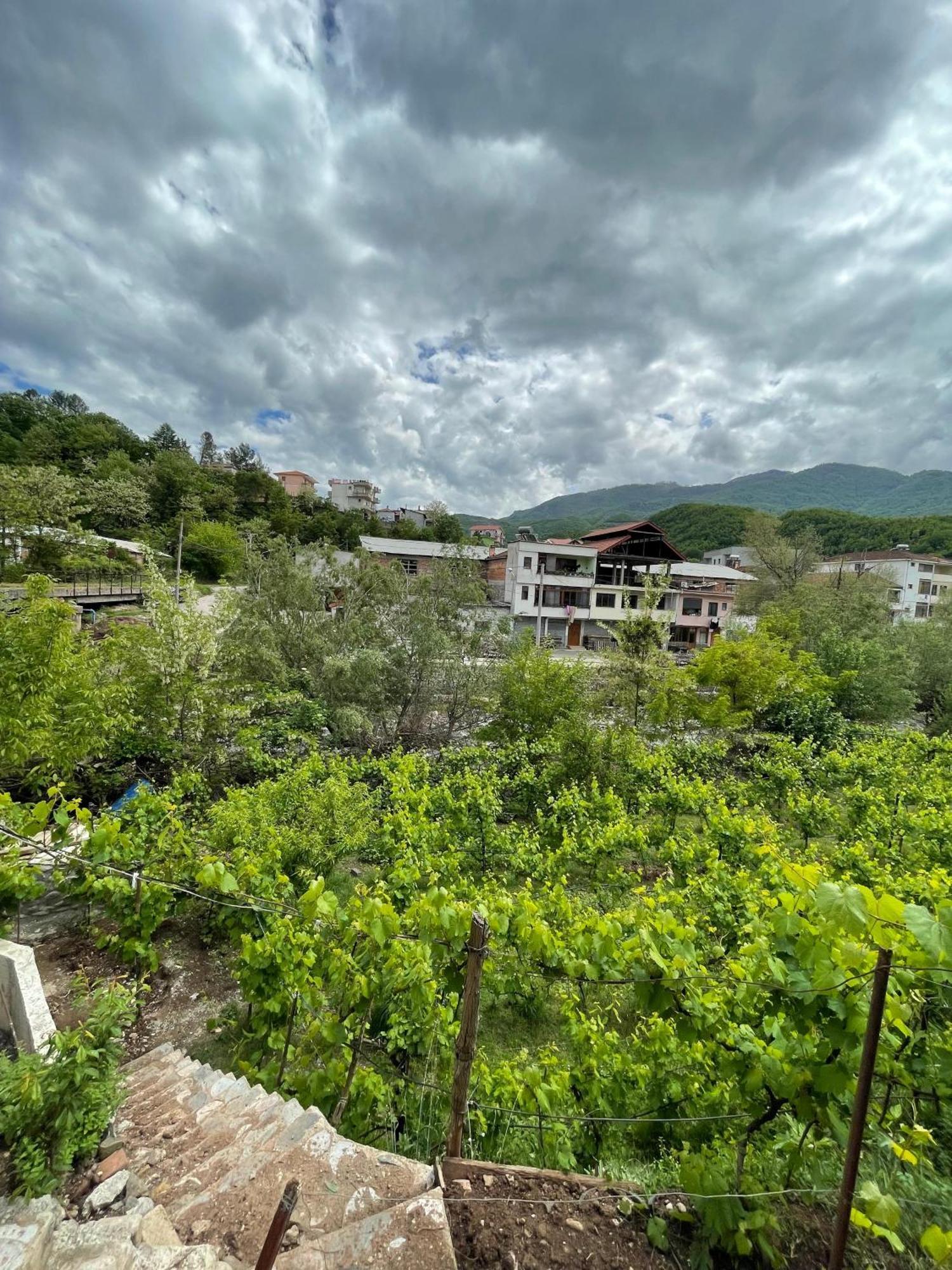 12 Hotel Librazhd